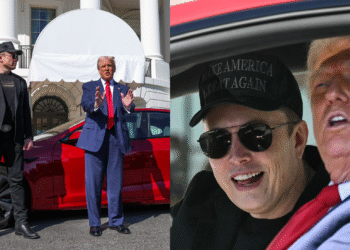 Elon Musk Trump Tesla 2025
