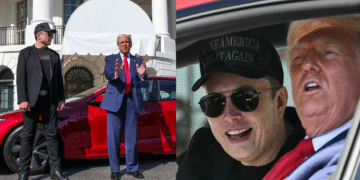Elon Musk Trump Tesla 2025