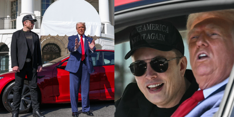Elon Musk Trump Tesla 2025